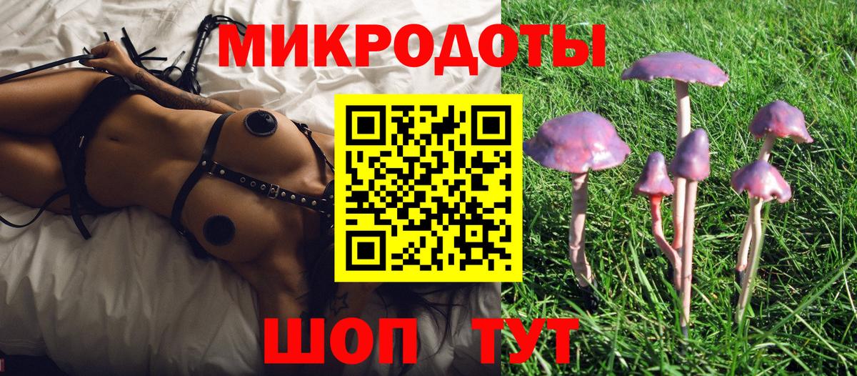 Вышний Волочёк  Псилоцибиновые грибы GOLDEN TEACHER  купить  цена  Галлюциногенные грибы Psilocybine cubensis  Вход с VPN 